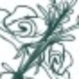 Group logo of Sympathy Flowers @Sincere FlowersUSA